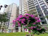 惠州小產權房-盛世麗都8棟花園小區房